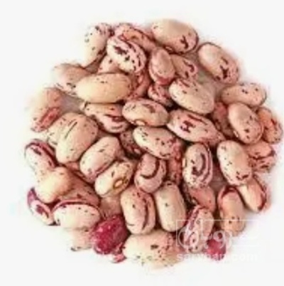 فروش لوبیا چیتی