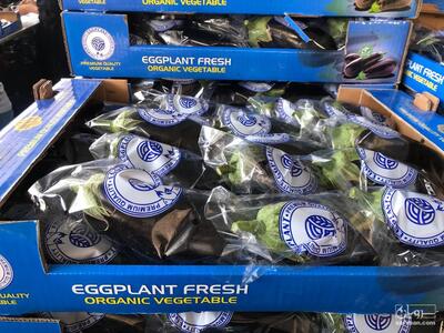 فروش بادمجان