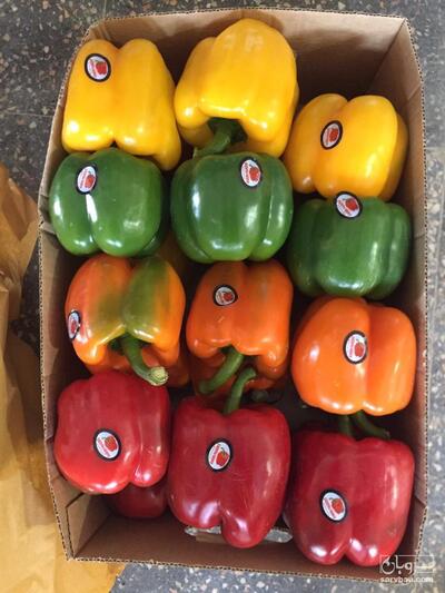 فروش فلفل دلمه ای