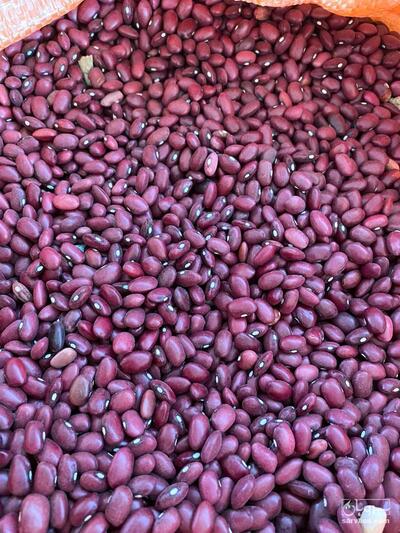 فروش لوبیا قرمز زنجان
