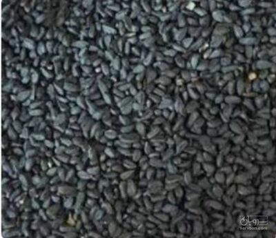 فروش سیاهدانه (گیاه‌ دارویی)