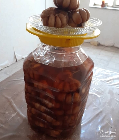 فروش سیر ترشی