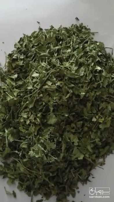 فروش جعفری خشک