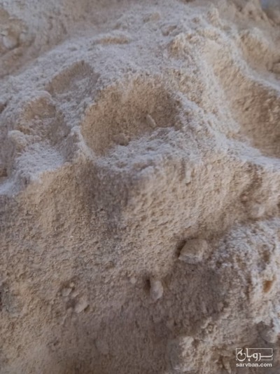 فروش سیر خشک -