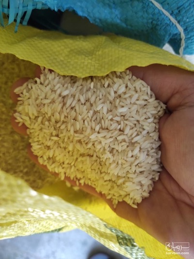 فروش برنج عنبر بو