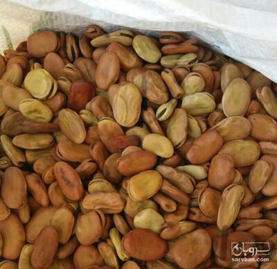 فروش باقلای خشک