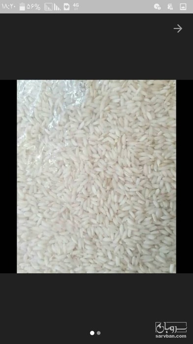فروش برنج صداقت