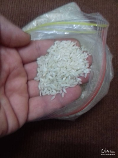 فروش برنج باقری (عنبربو)