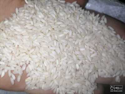 فروش برنج عنبربو 2