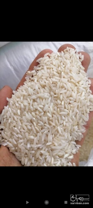 فروش برنج عنبر بو 2