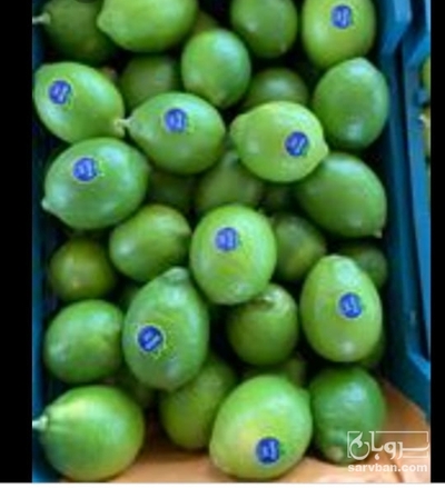 فروش لیموترش سنگی لختی