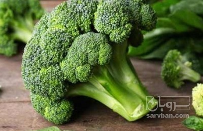 فروش کلم بروکلی