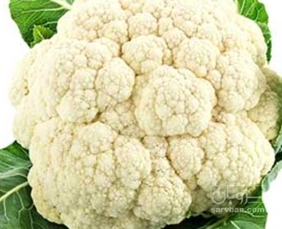 فروش گل کلم