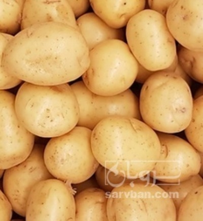 فروش سیب زمینی