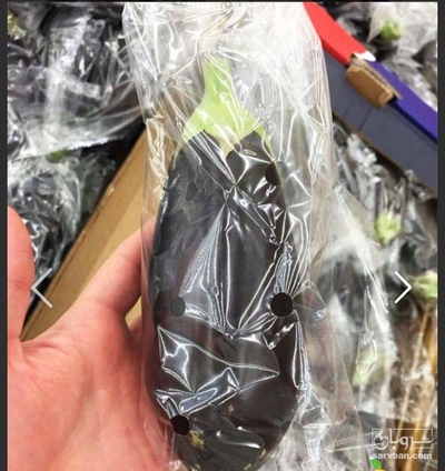 فروش بادمجان لامپی