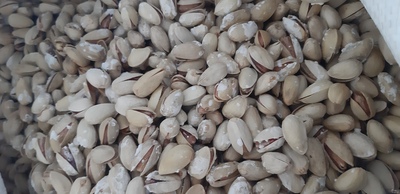 فروش پسته احمد آقایی