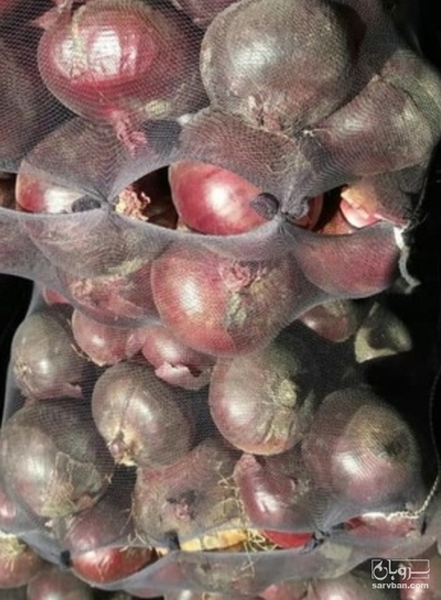 فروش پیاز