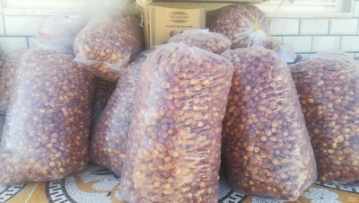 فروش خرما قصبک