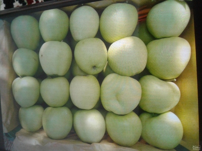 فروش سیب سفید