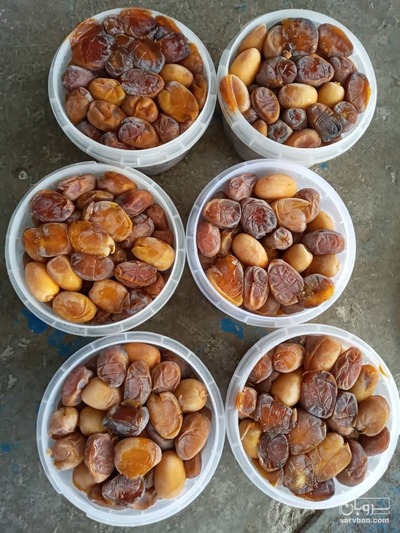 فروش خرما کبکاب