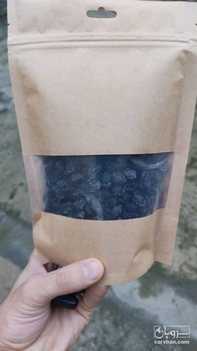 فروش مویز سیاه