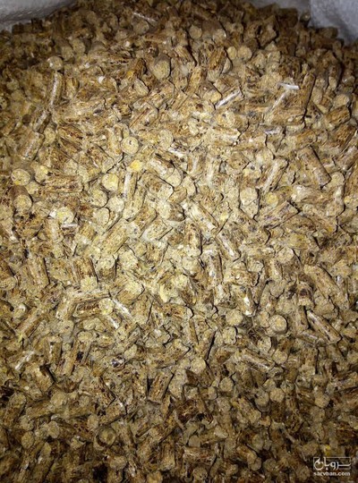 فروش خوراک گاو شیری