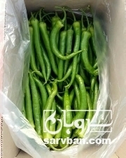 فروش فلفل سبزشمشیری