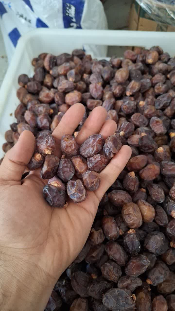 فروش خرماخاصویی