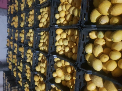 فروش [object Object]