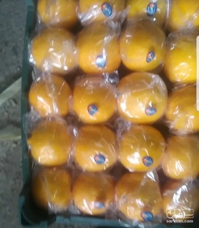 فروش [object Object]