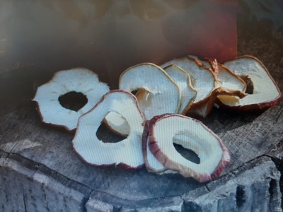 فروش سیب خشک