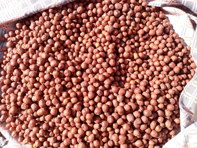 فروش [object Object]