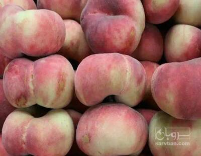 فروش هلو انجیری