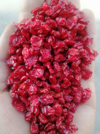 فروش [object Object]