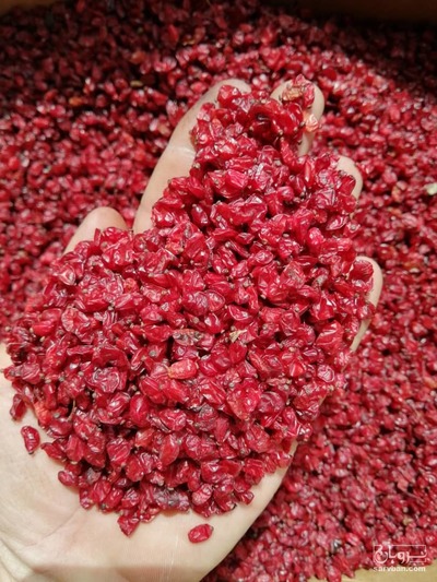 فروش زرشک دانه اناری