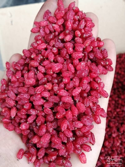 فروش زرشک پفکی