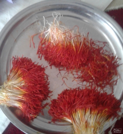 فروش زعفران