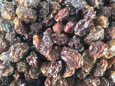 فروش آلو خشک