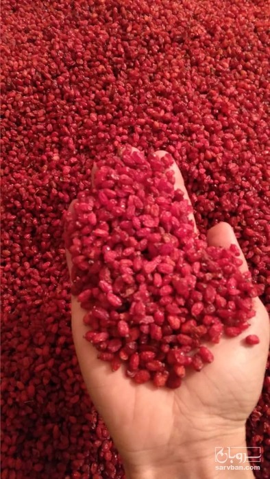 فروش زرشک دانه اناری