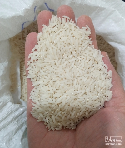 فروش برنج