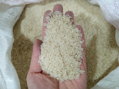 فروش برنج فجرسوزنی