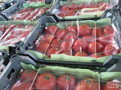 فروش گوجه فرنگی متین