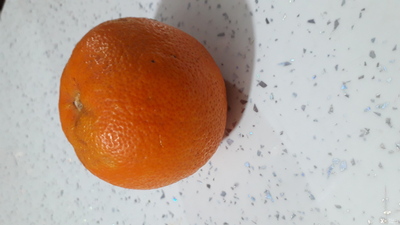 خرید پرتقال