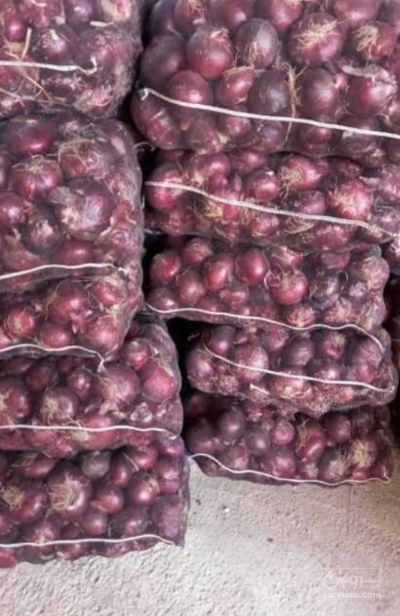 فروش پیاز قرمز