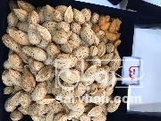 فروش [object Object]