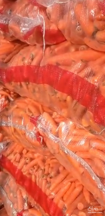 فروش هویج شسته