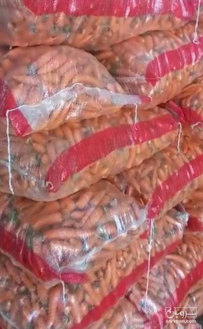 فروش هویج شکسته