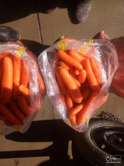 فروش هویج اقلید