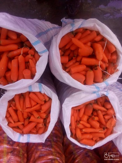 فروش هویج شکسته اقلید