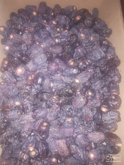 فروش خرما آلویی